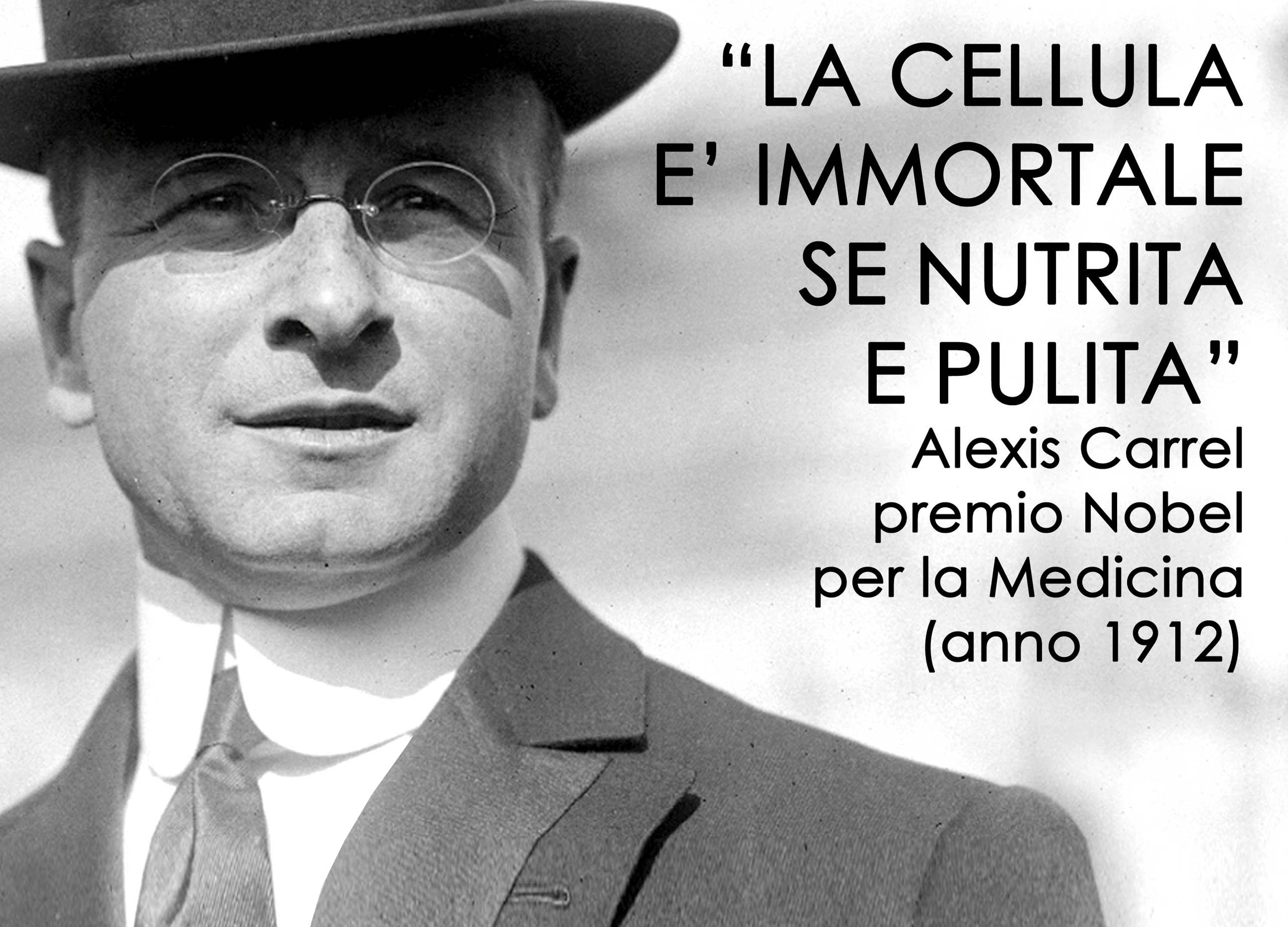 La cellula è immortale, se nutrita e pulita